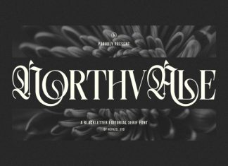 Northvale Font preview image 1