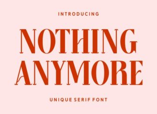 Nothing Anymore Font preview image 1