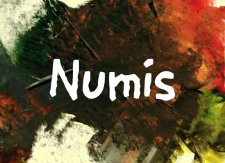 Numis Font preview image 1