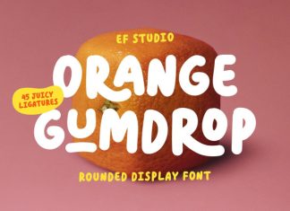 Orange Gumdrop Font preview image 1