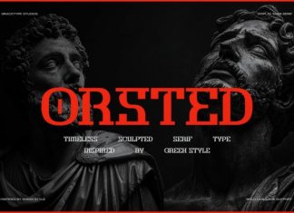 Orsted Font preview image 1