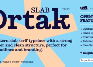 Ortak Slab Font preview image 1