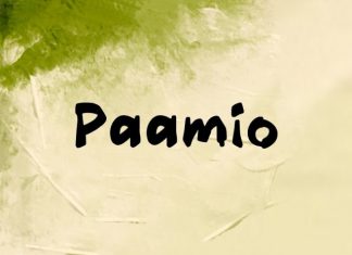 Paamio Font preview image 1