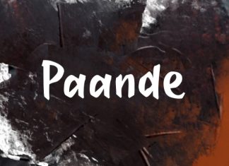 Paande Font preview image 1
