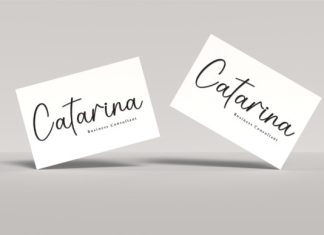 Photography Handwritten Font preview image 2