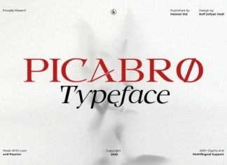 Picabro Font preview image 1