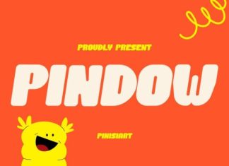 Pindow Font preview image 1