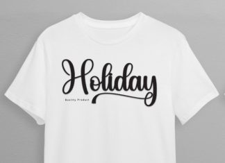 Quality Script Typeface preview image 2