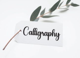 Quality Script Typeface preview image 3
