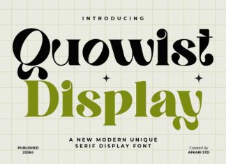Quowist Display Font preview image 1