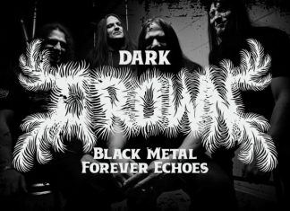 Raven Spike Font preview image 3