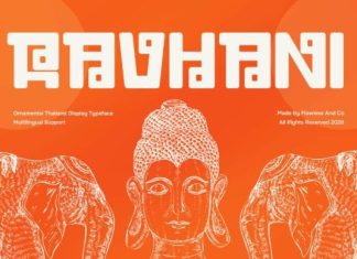 RAVHANI FONT preview image 1