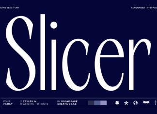 RCL Slicer Font preview image 1