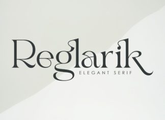 Regularik Font preview image 1