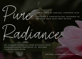 Renatela Handwritten Font preview image 2