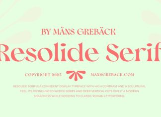 Resolide Serif Font preview image 1