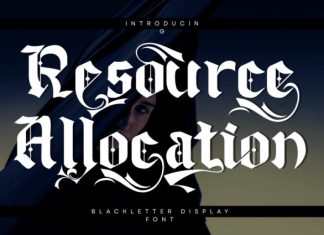 Resource Allocation Font preview image 1