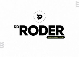 RODER FONT preview image 1