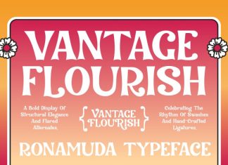 Ronamuda Font preview image 2