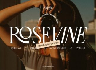 Rosevine Font preview image 1