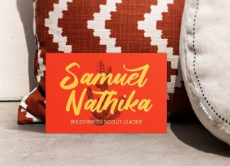 Saddle Nomad Script Font preview image 2