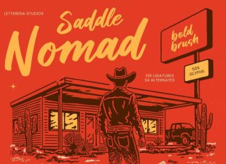 Saddle Nomad Script Font preview image 1