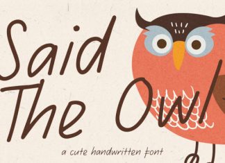 Said The Owl Font preview image 1