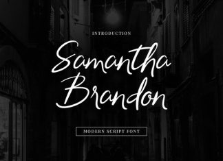 Samantha Brandon Script Font preview image 1