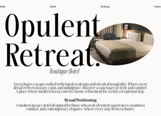 Savera Editorial Font preview image 3