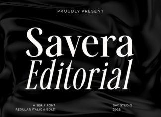 Savera Editorial Font preview image 1