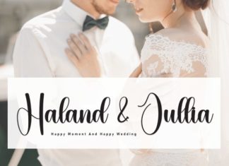 Seamless Script Font preview image 3