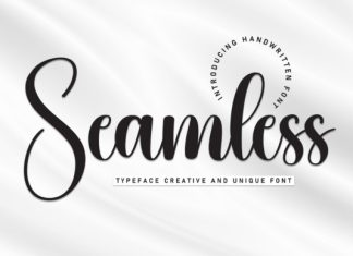 Seamless Script Font preview image 1