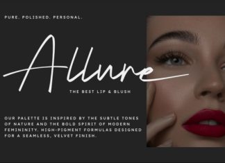 Selovira Signature Handwritten Font preview image 3