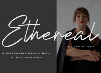 Selovira Signature Handwritten Font preview image 2