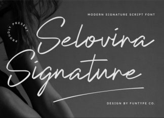 Selovira Signature Handwritten Font preview image 1