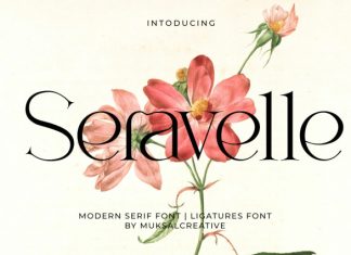 Seravelle Font preview image 1
