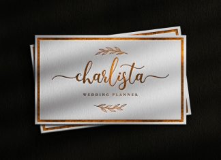 Shipwest Script Font preview image 3