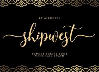 Shipwest Script Font preview image 1