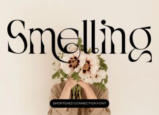 Shortened Connection Font preview image 3