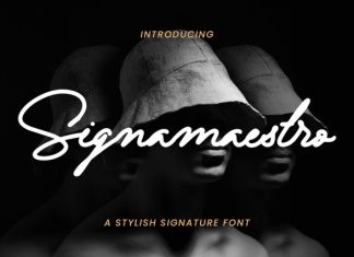 Signamaestro Handwritten Font preview image 1