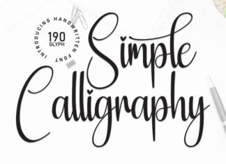 Simple Calligraphy Handwriting Font preview image 1
