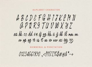 Simple Fine – Script Handwritten Font preview image 1
