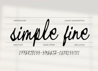 Simple Fine – Script Handwritten Font preview image 3