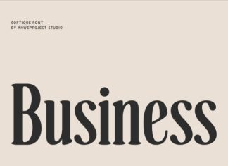 Softique Font preview image 3