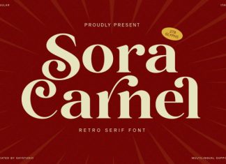 Sora Carnel Font preview image 1