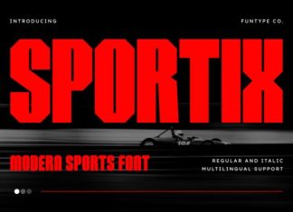 Sportix Font preview image 1