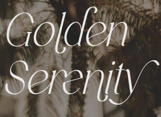 Stivra Serif Font preview image 2