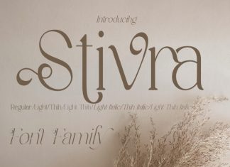 Stivra Serif Font preview image 1