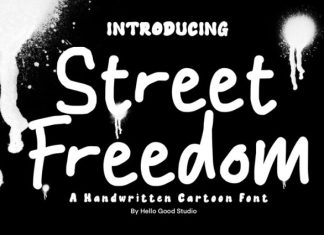 Street Freedom Font preview image 1