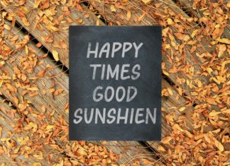 Summer Display Typeface preview image 3